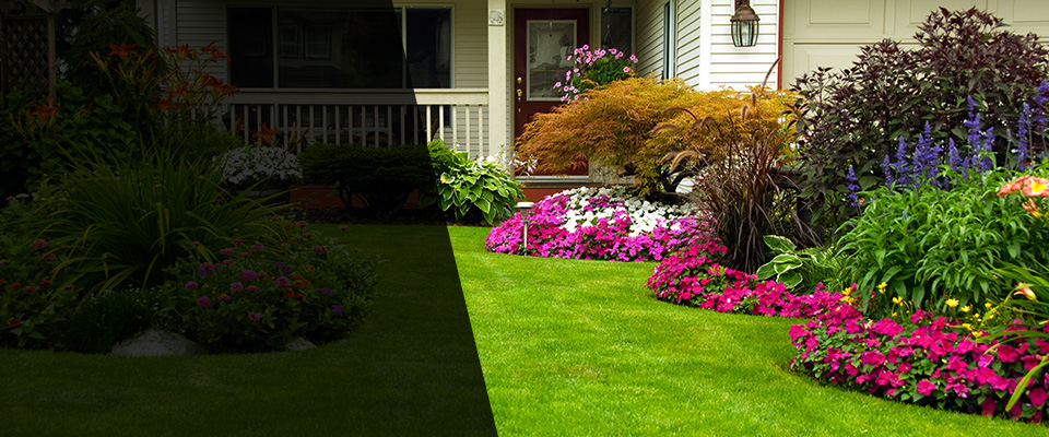 Linton Landscapers