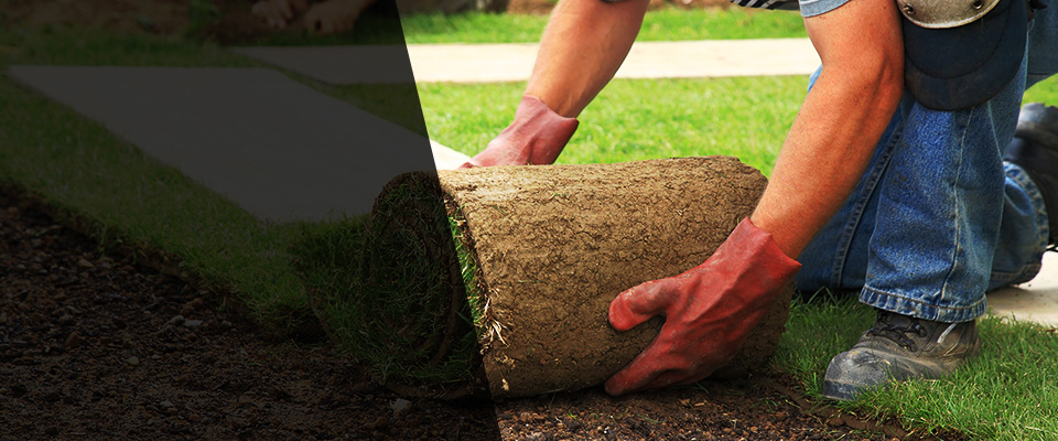 Linton Landscapers